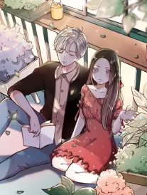 黑箱书店 火狐电影网漫画改编